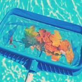 Lorem ipsum dolor sit