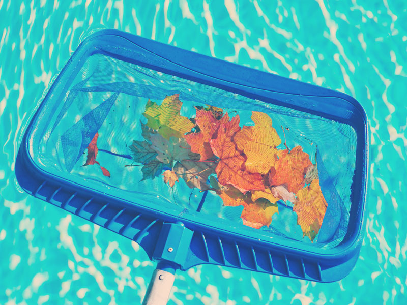 Lorem ipsum dolor sit